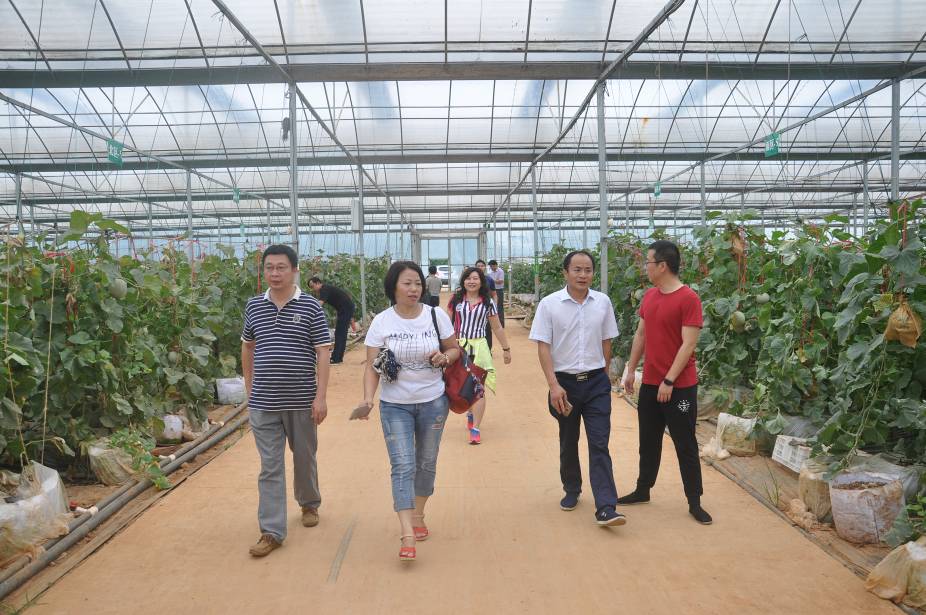 台商黄定凯先生一行来澧参观考察生物有机肥料研发