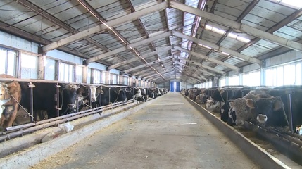 畜禽粪污资源化利用 以生物有机肥研发助推乡村振兴“绿色之路”