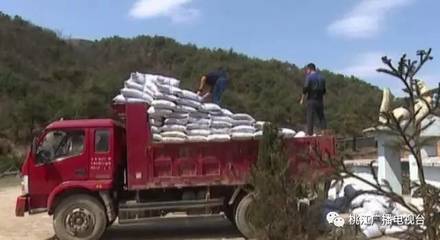 王亚 变废为宝的绿色先锋，以科技重塑猪粪价值