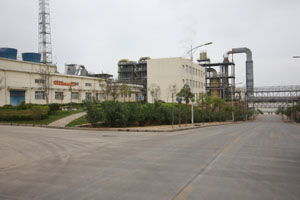 深州市中科启润 以创新驱动生物有机肥料研发，赋能绿色农业发展